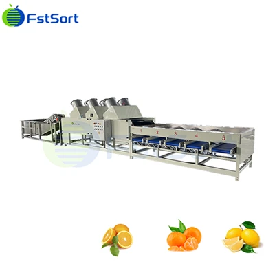 Citrus Air - ສາຍການຜະລິດເຄື່ອງຈັດຮຽງແຫ້ງ